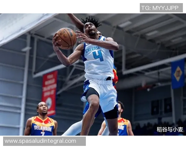 黄蜂如何突围东部赛区？球队管理层暗示或将深挖国际球员