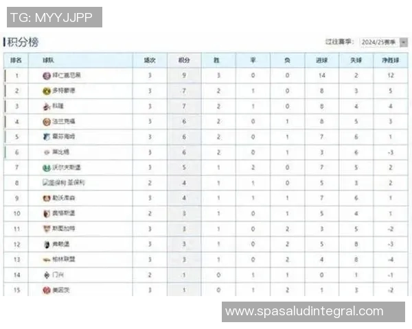 勒沃库森积分榜领先,大胜弗赖堡继续保持德甲前列位置 勒沃库森积分榜领先,大胜弗赖堡继续保持德甲前列位置