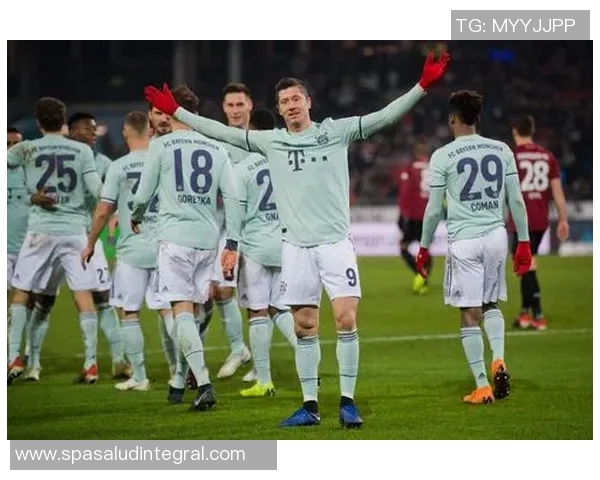 汉诺威96保级路艰难,客场失利让前景黯淡 汉诺威96保级路艰难,客场失利让前景黯淡